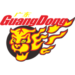 广东 图标